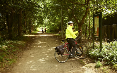A cyclist reads a map in the woodland
