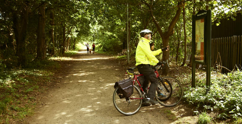 A cyclist looking at a woodland cycle map